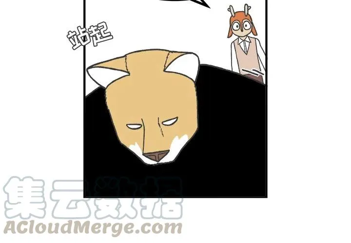 62 第3页