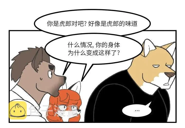 62 第4页