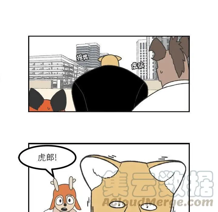 62 第5页