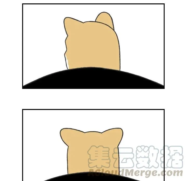 62 第7页