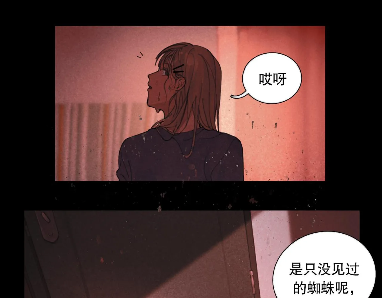 第41话 常识 第5页