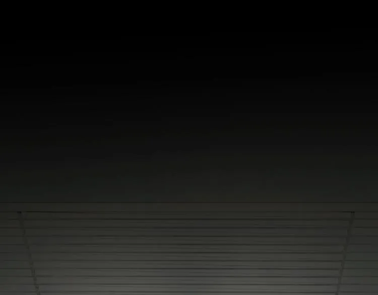 第16话 鱼饵 第50页
