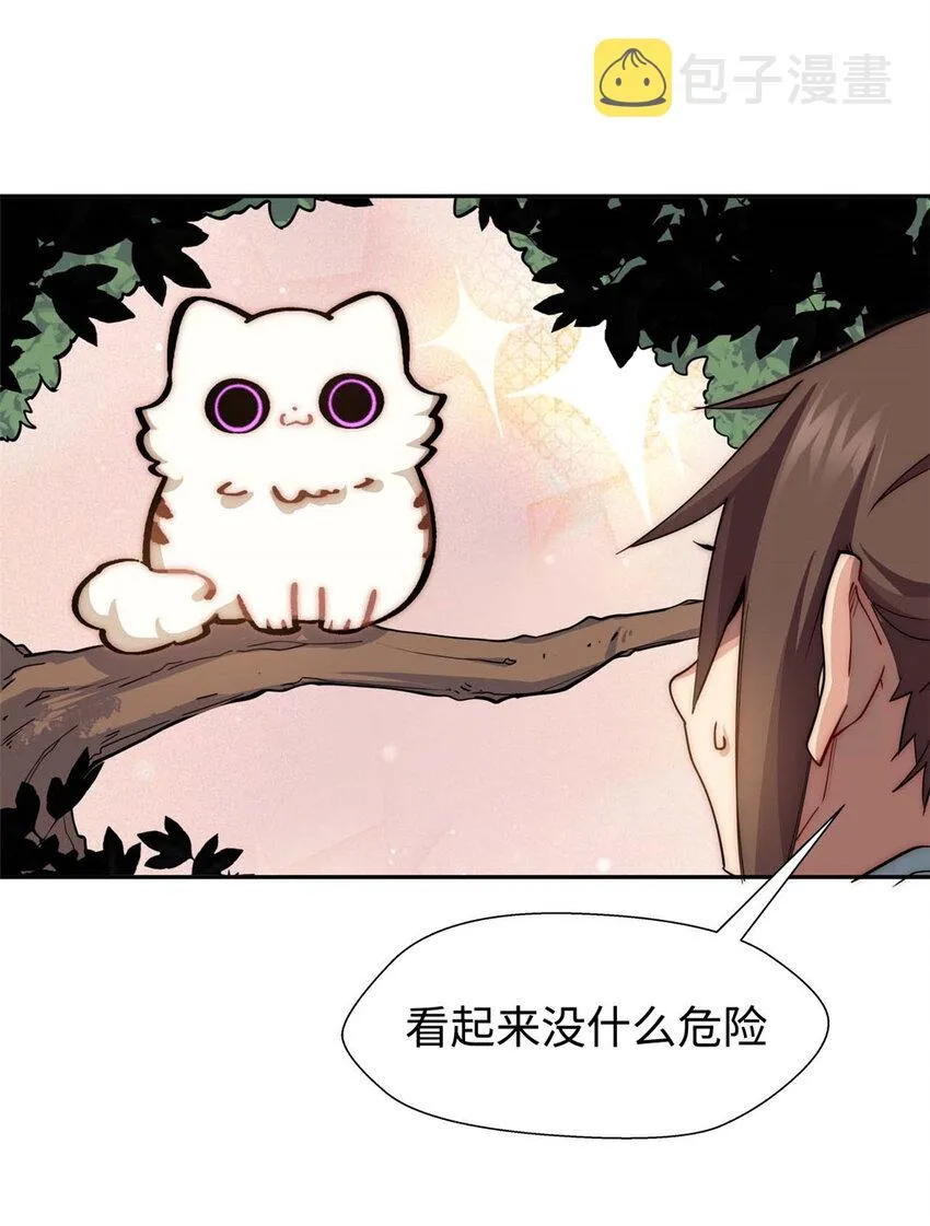 13 13 第10页