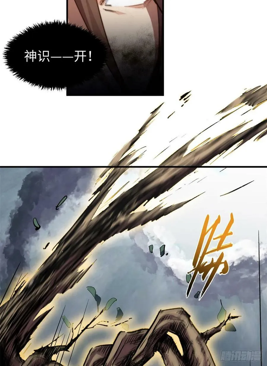 83 朱雀之子 第39页