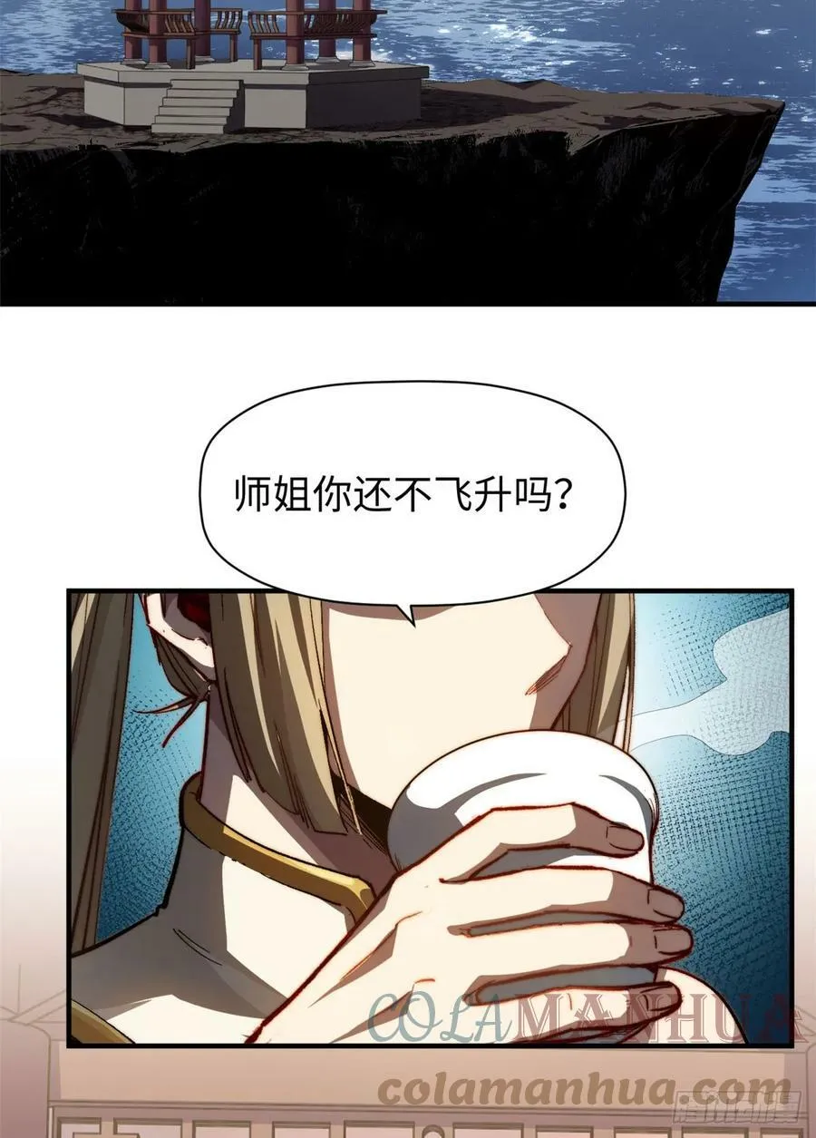 83 朱雀之子 第46页