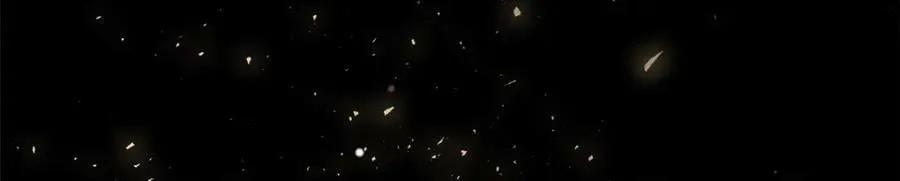 100 他的过去 第150页