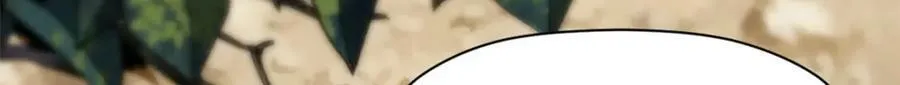 100 他的过去 第213页