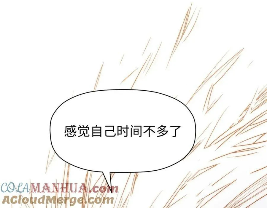 113 玉清圣宗 第217页