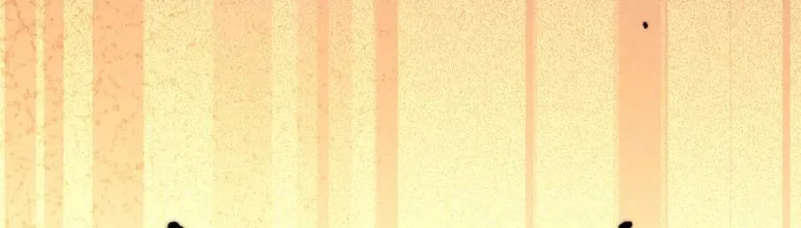 118 苏岐的归途 第48页