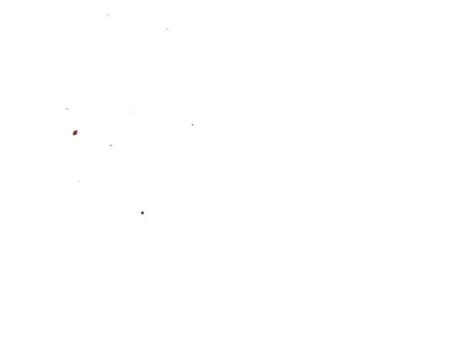119 遗迹 第235页