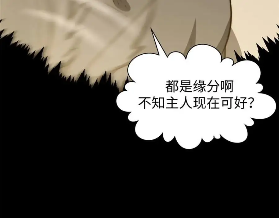 139 苏岐，对不起！ 第74页