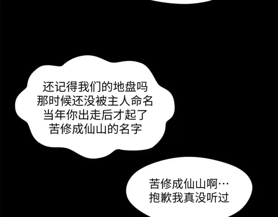 139 苏岐，对不起！ 第80页