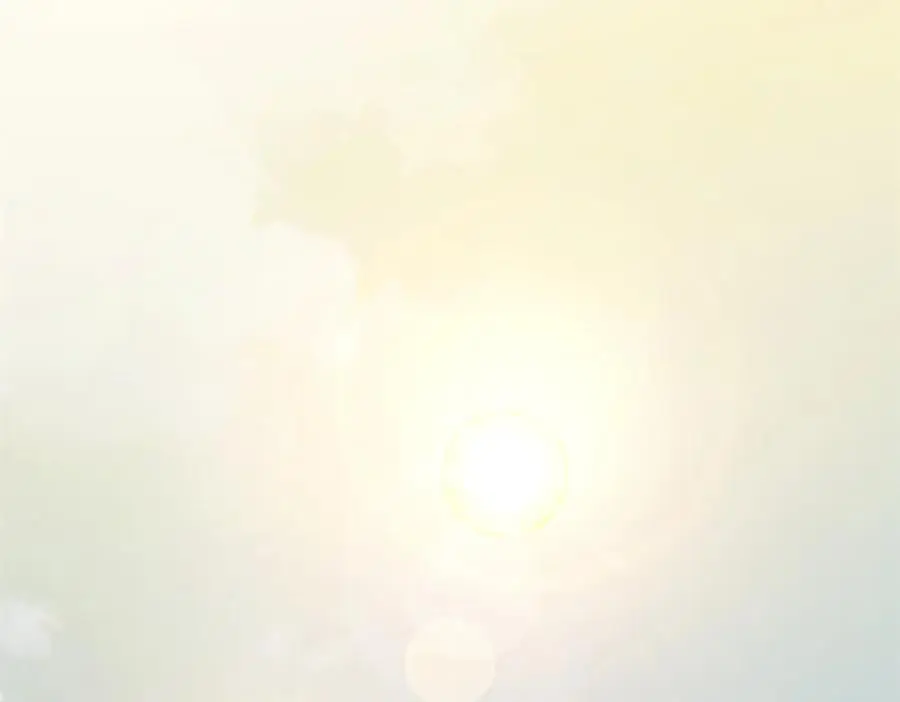 140 金乌 第2页