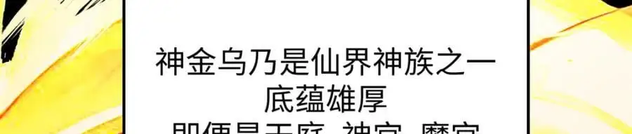 140 金乌 第75页