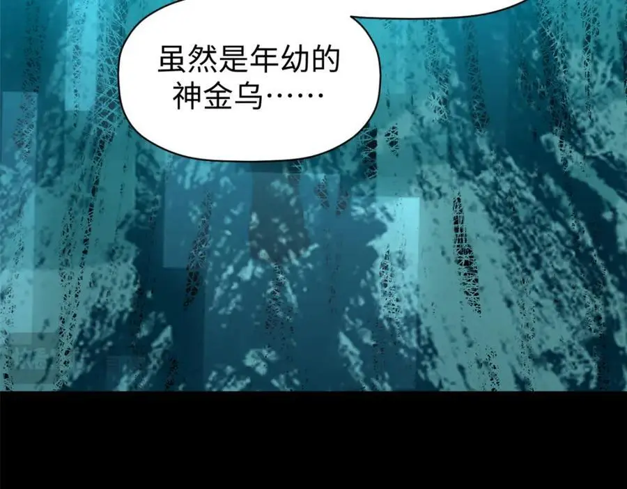 140 金乌 第95页