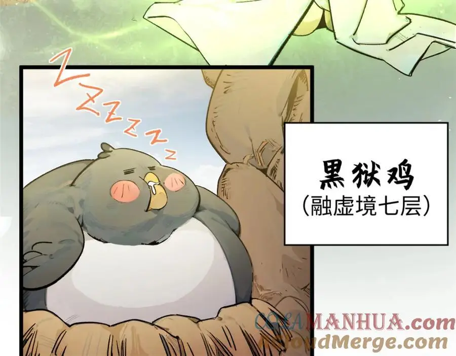 141 天劫来临！ 第25页
