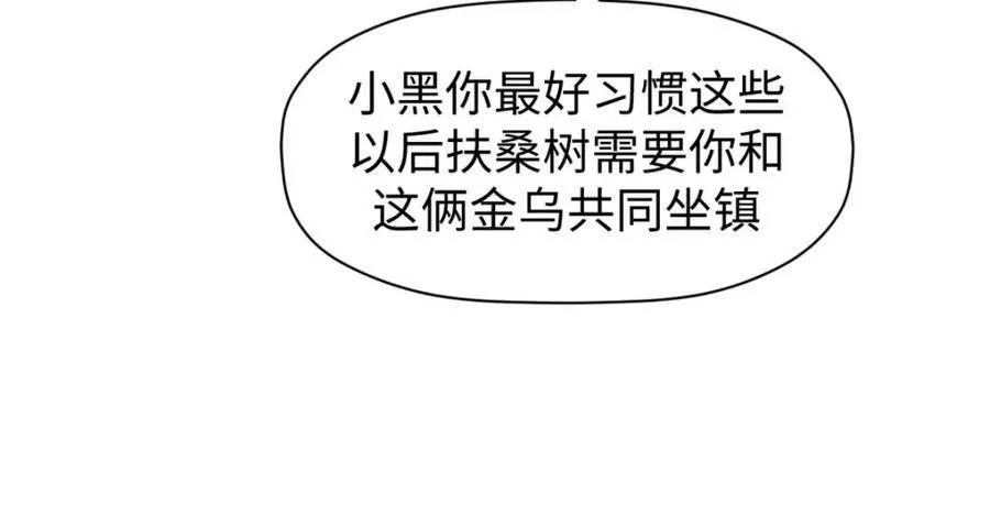 149 收服金乌 第159页