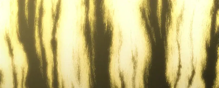 173 突破! 第215页