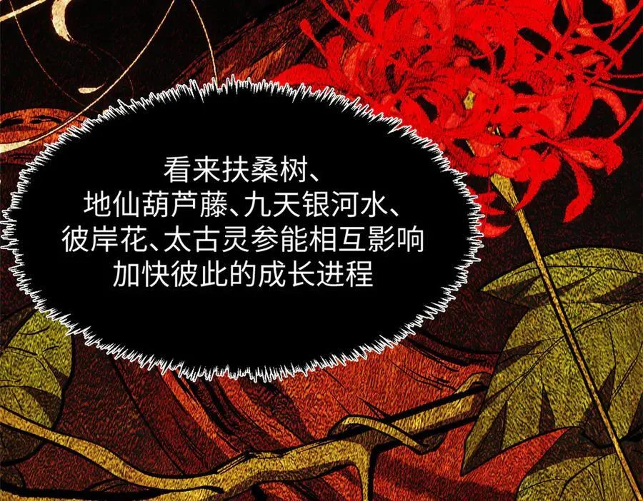 197 苏岐出山,杨散进入凡间 第56页