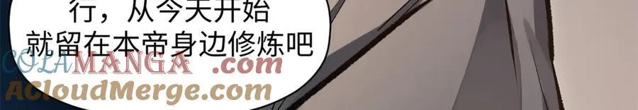 201 已达千岁,三个选择 第113页
