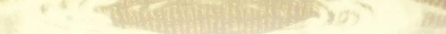 203 轮回天仙境,快哉快哉 第127页