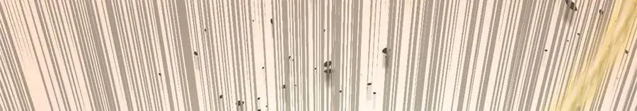 205 万不得已的决定 第48页