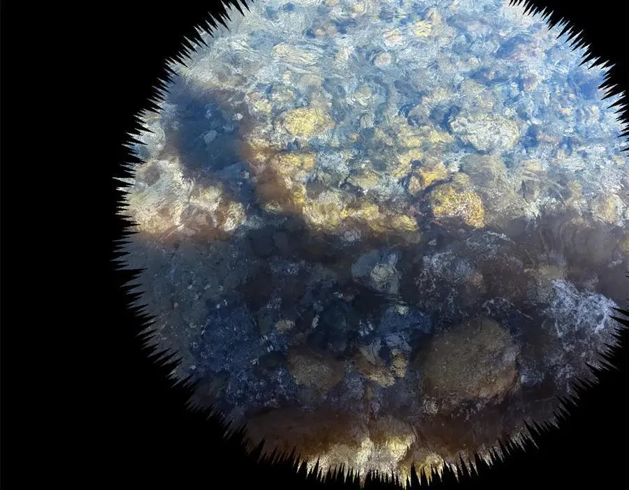 212 立地金丹 第98页