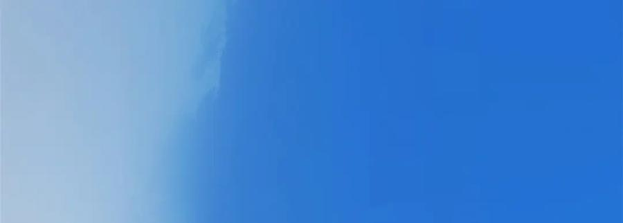 225 通天剑道 第195页