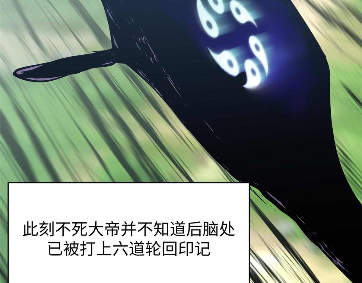 231 轮回神瞳 第47页