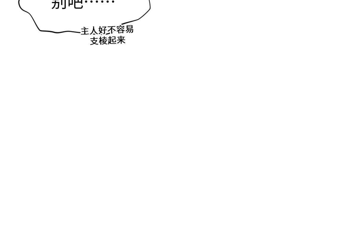 232 第54页