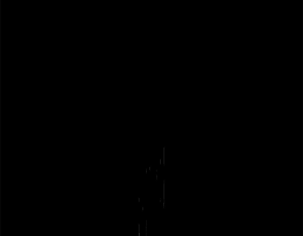233 第51页