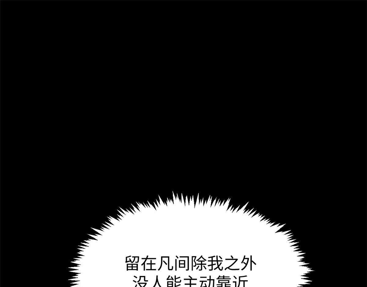 234 第31页