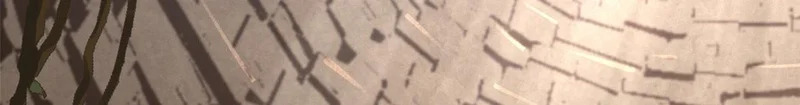 236 星辰鸿蒙体觉醒 第69页