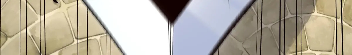 238 第96页