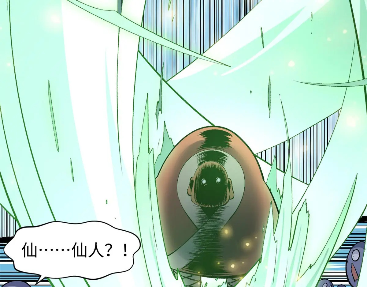 238 第113页