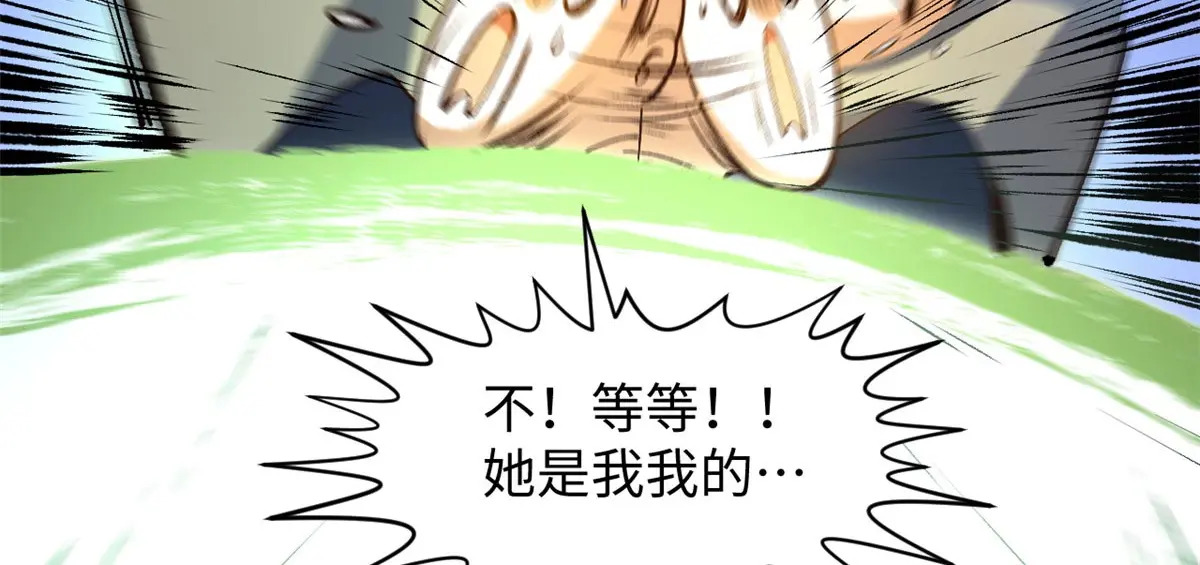 238 第120页