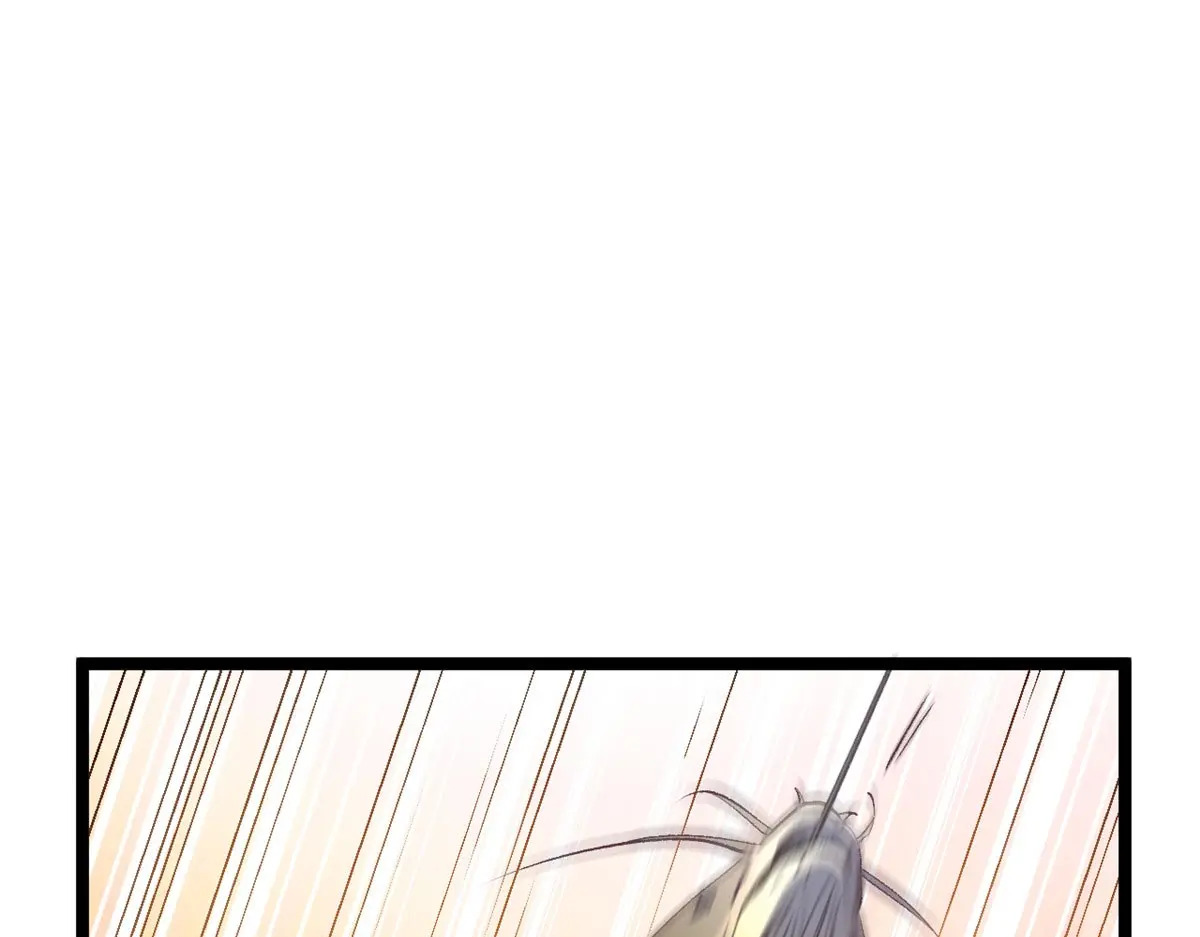 238 第166页