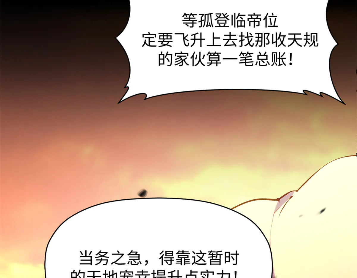 241 来访 第16页