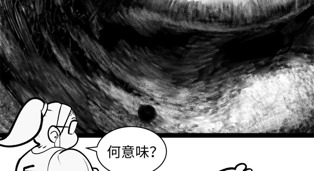 249 愿为西南风，长逝入君怀 第3页
