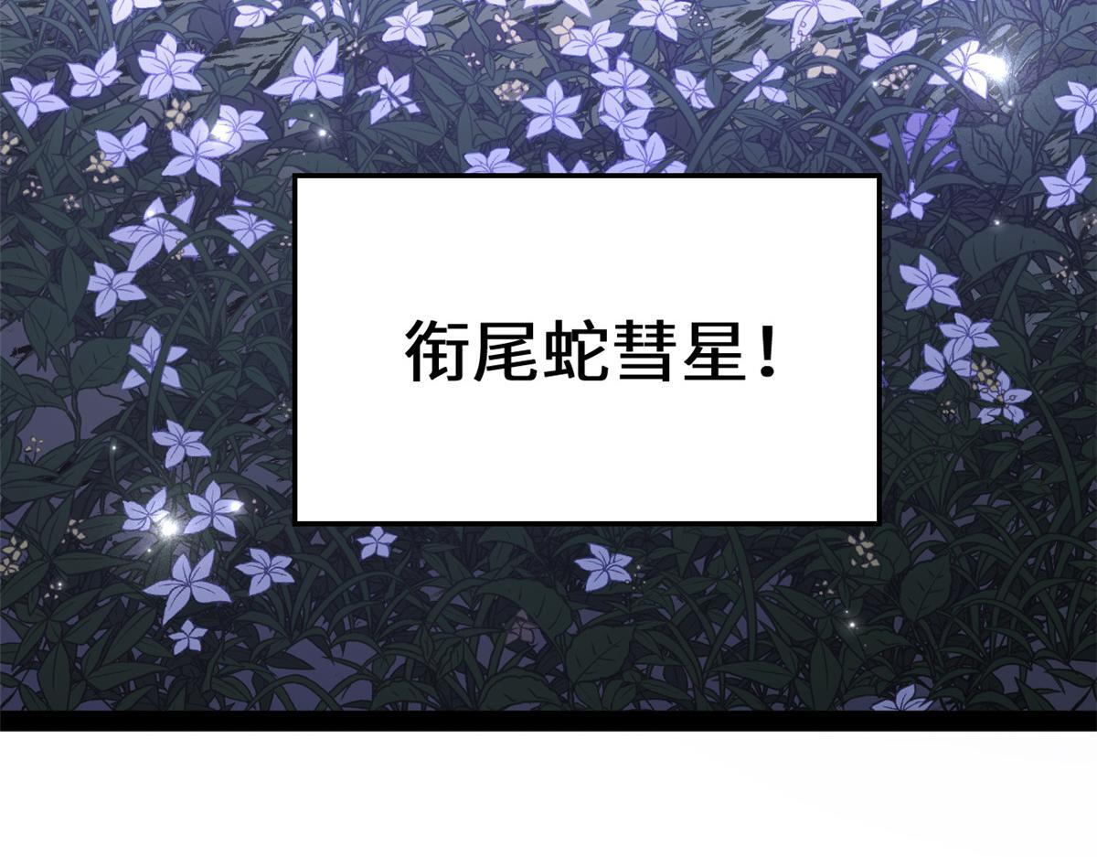 249 愿为西南风，长逝入君怀 第206页