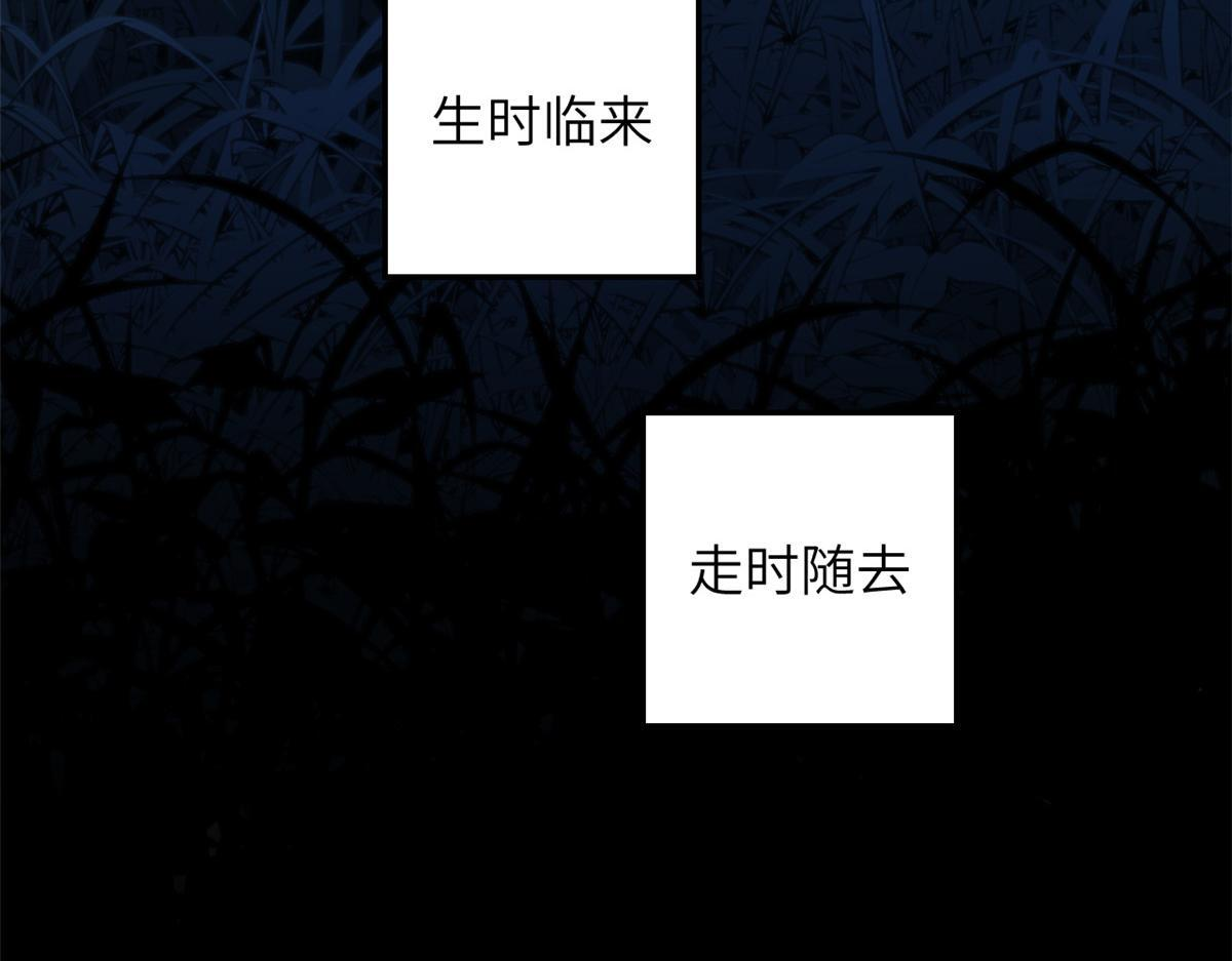 249 愿为西南风，长逝入君怀 第235页