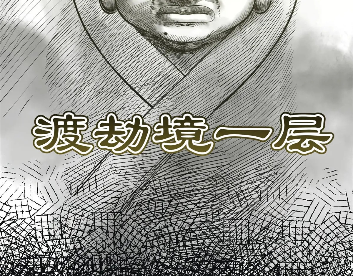 250 太古灵参觉醒 第29页