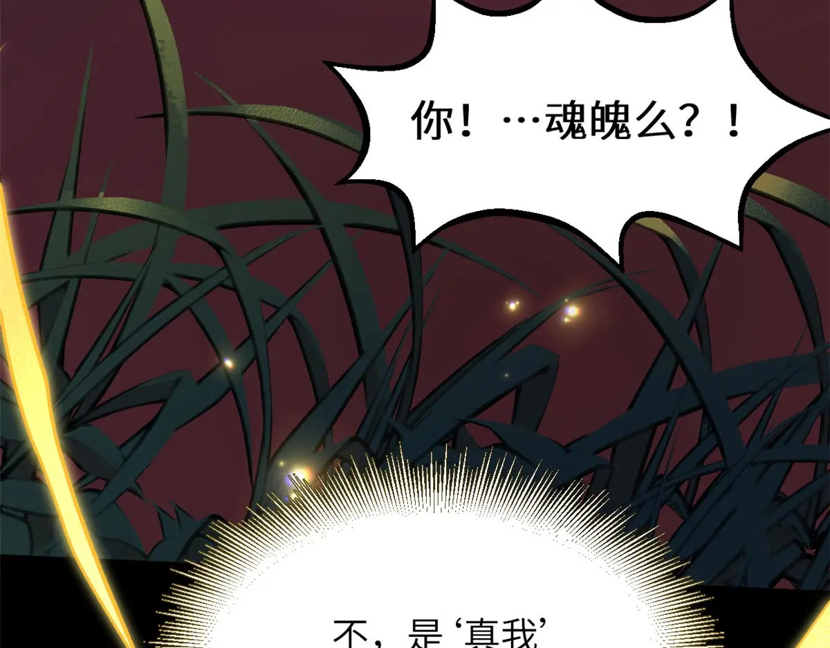 250 太古灵参觉醒 第49页