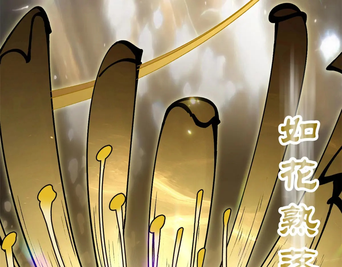 250 太古灵参觉醒 第82页
