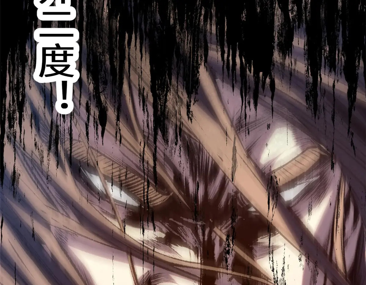 250 太古灵参觉醒 第206页