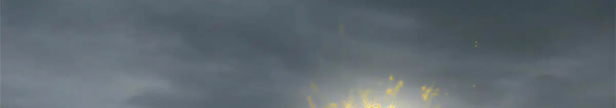 251 新年快乐 第210页