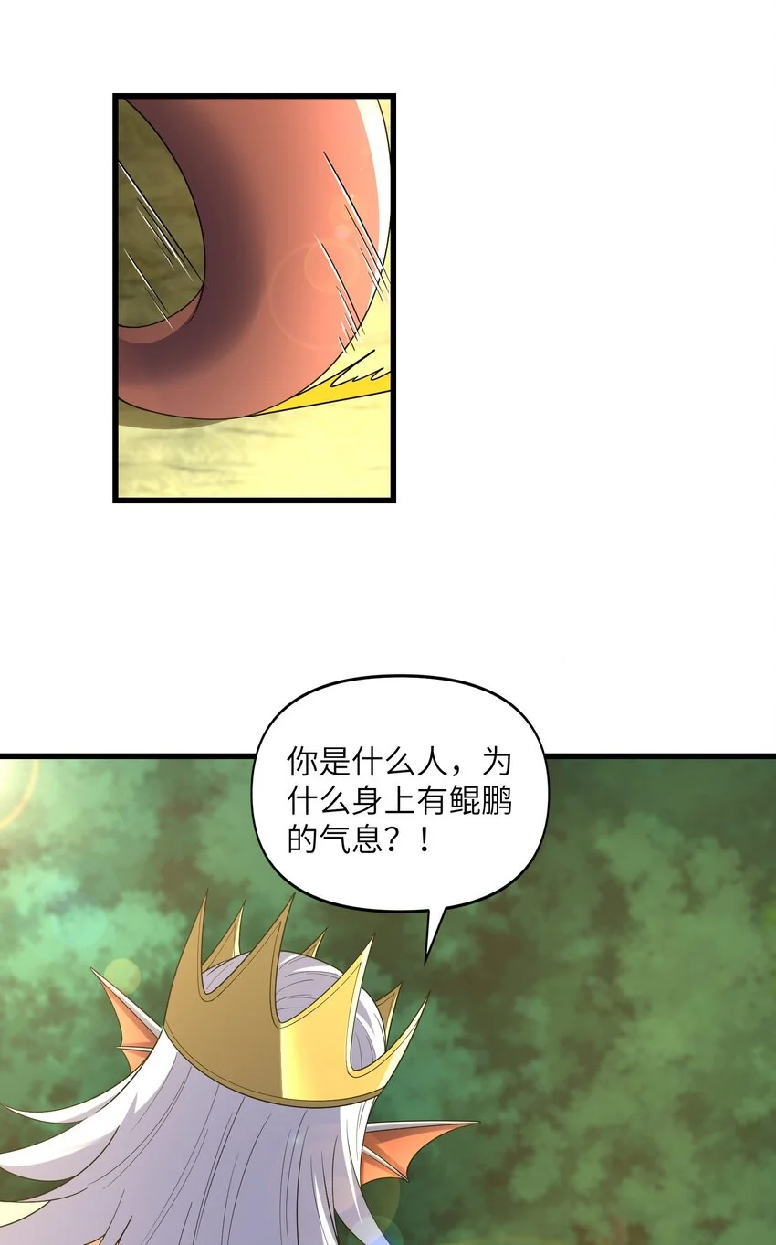 040 鲲鹏巢穴 第47页