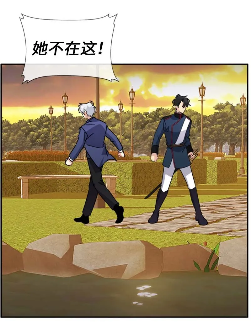 62 营救伊比 第3页