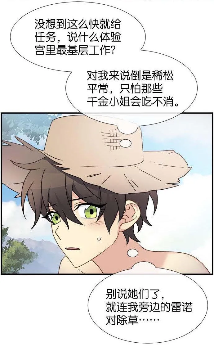 09 骑士的选择 第46页