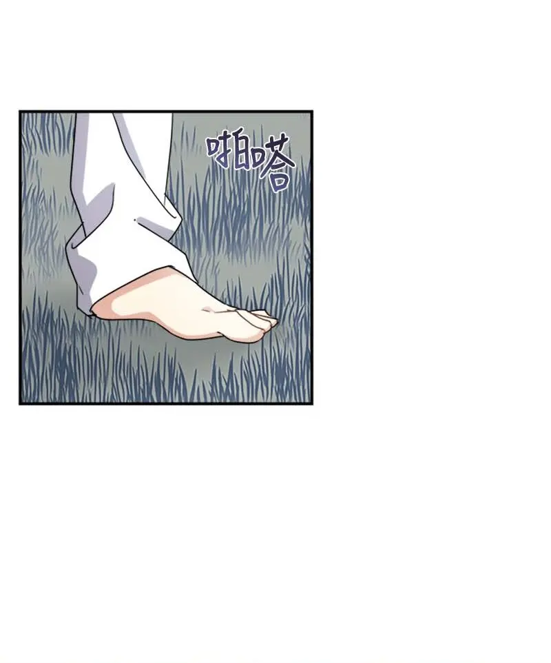 20 雷诺 第4页